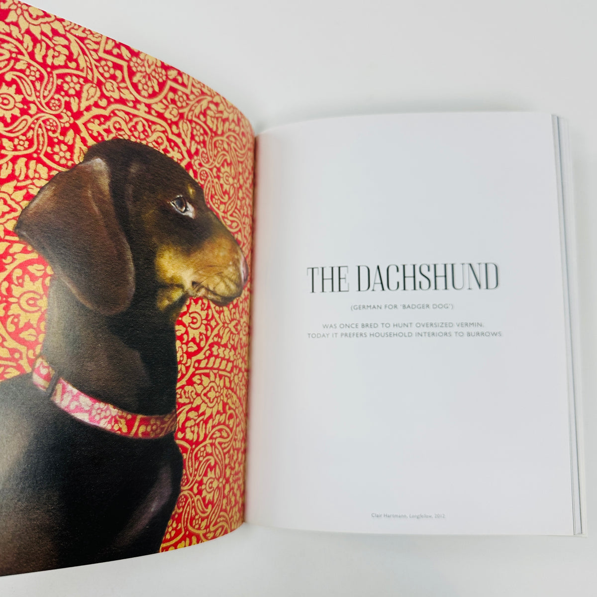 The Book of the Dog - Dogs in Art