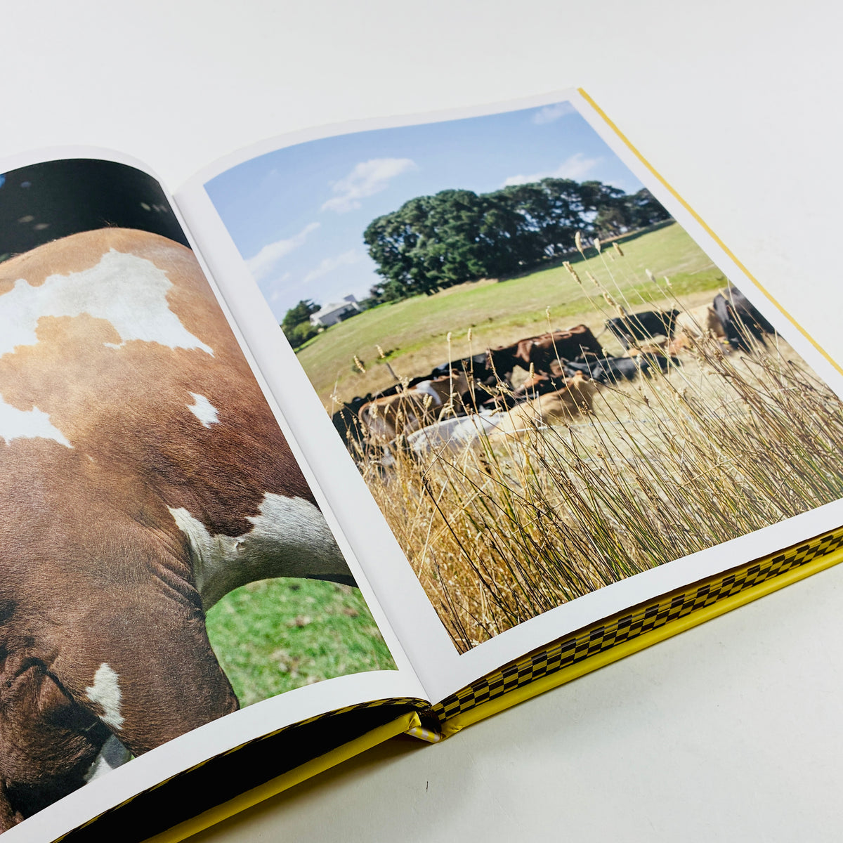 The Butter Cookbook - The Complete Guide to the Ultimate Ingredient