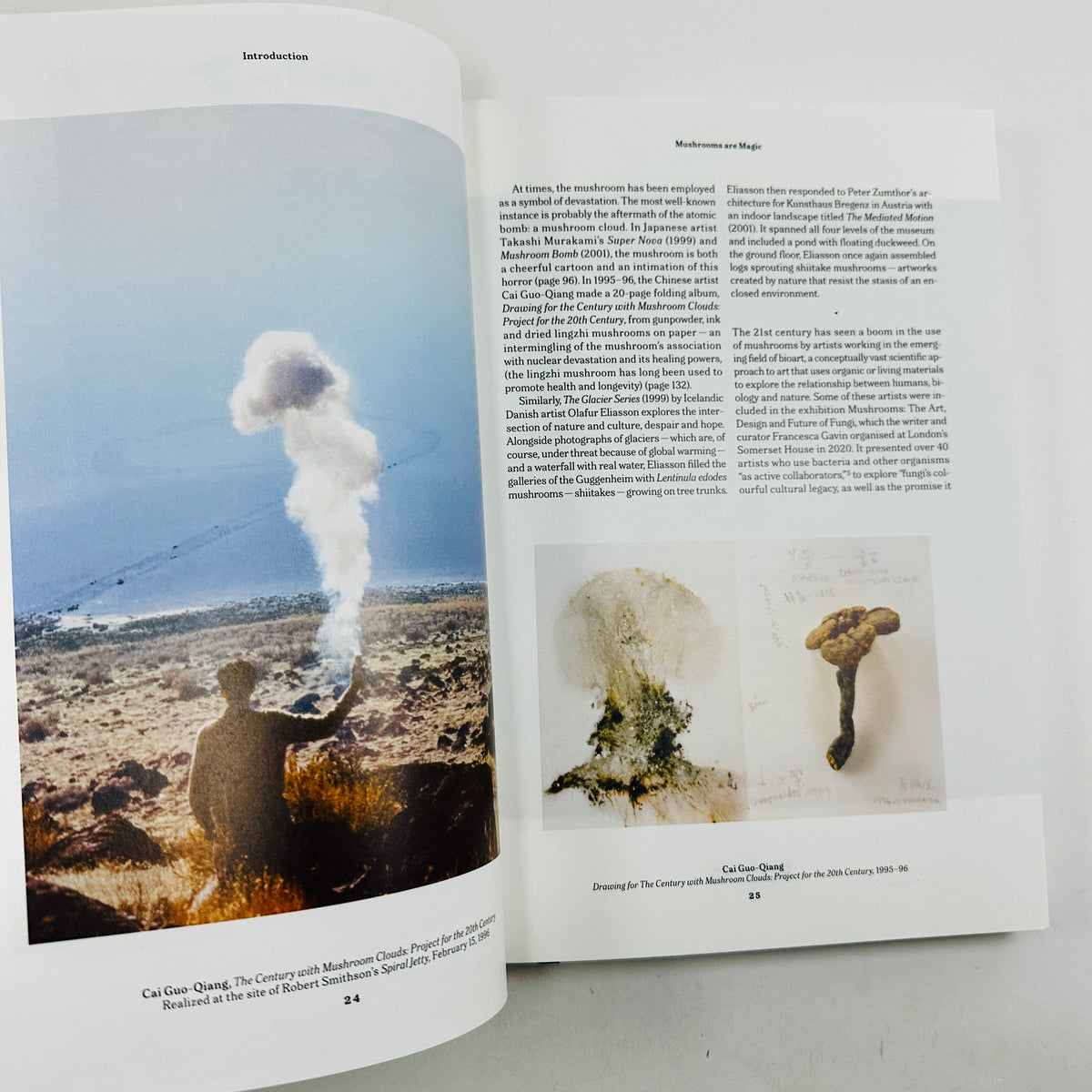 The Gourmand - Mushroom Book