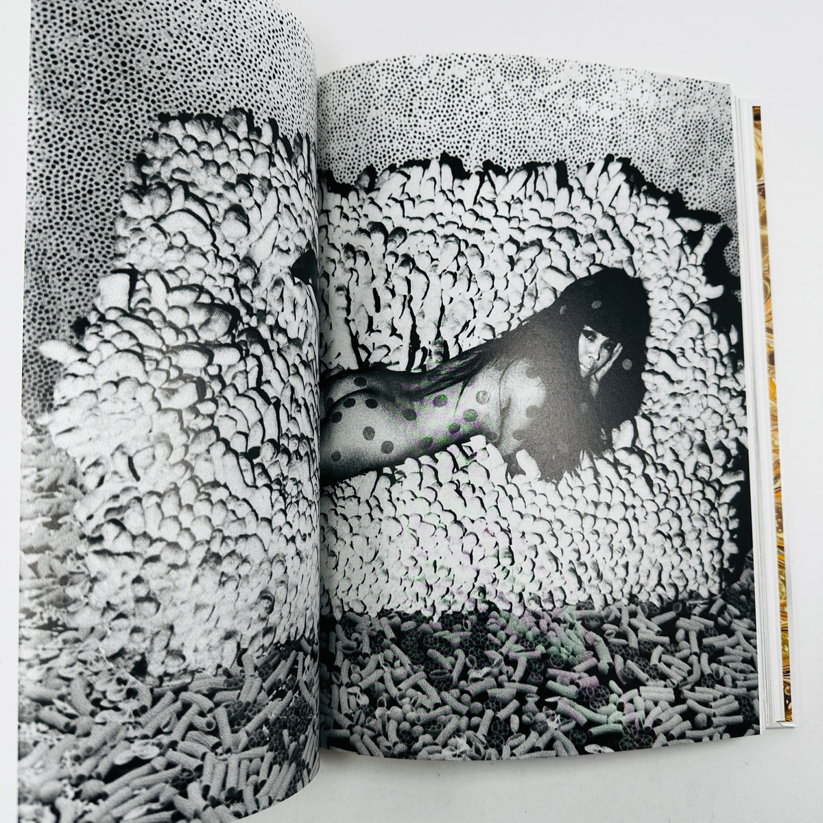 The Gourmand - Mushroom Book