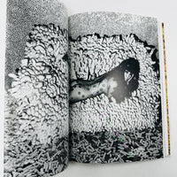 The Gourmand - Mushroom Book