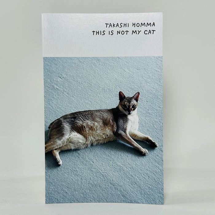 This Is Not My Cat - Takashi Homma
