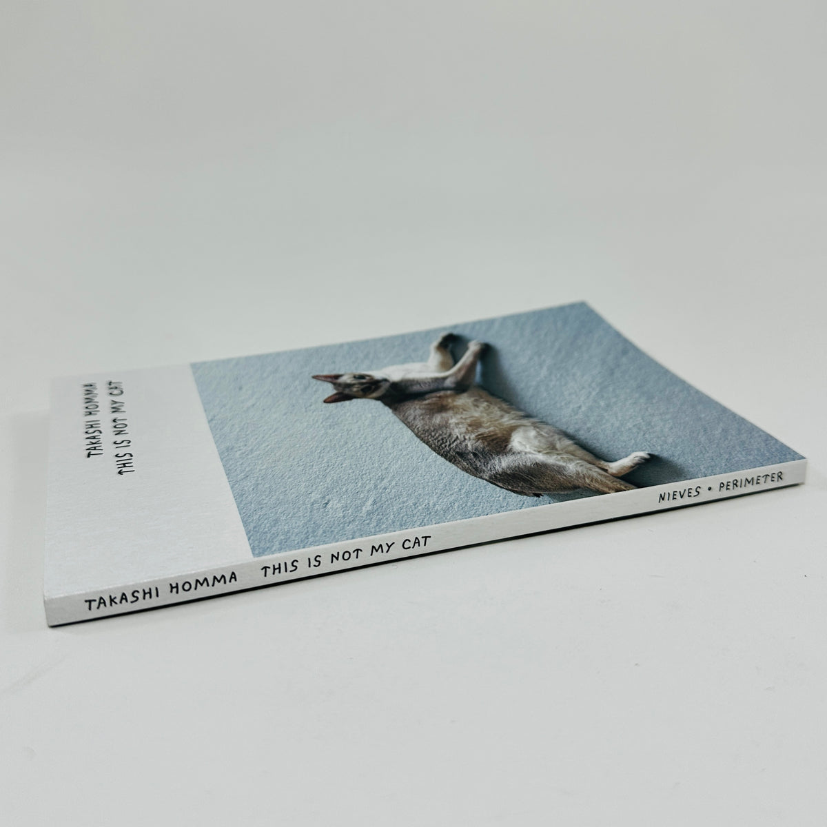 This Is Not My Cat - Takashi Homma