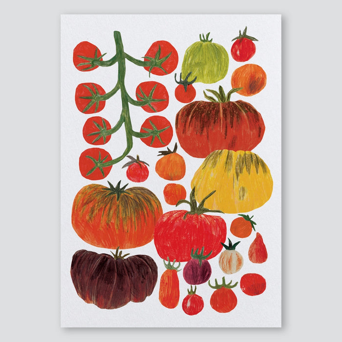 Tomato A3 Print - James Barker