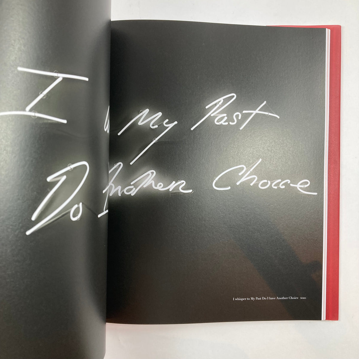 Tracey Emin - A Second Life