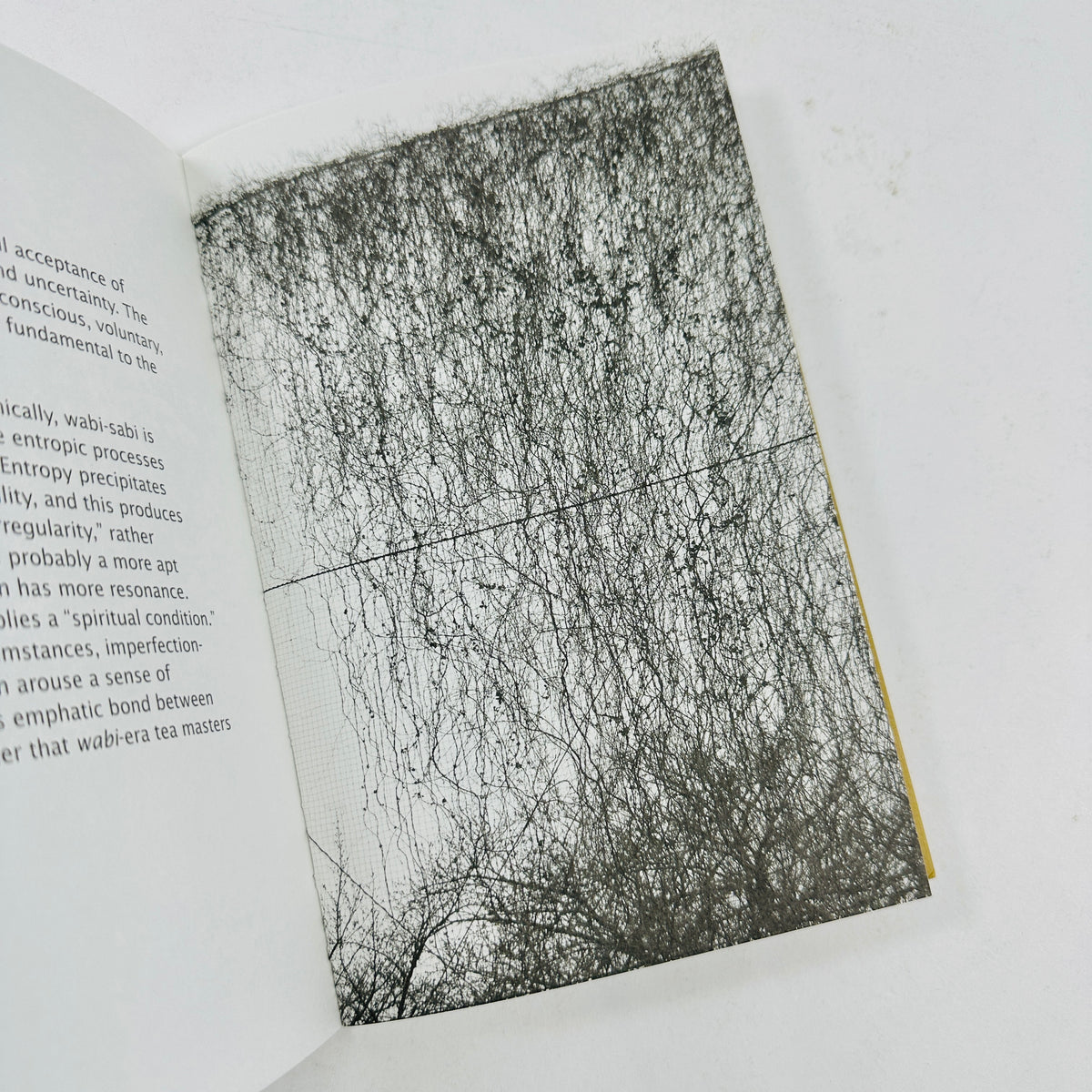 Wabi-Sabi - Further Thoughts
