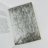 Wabi-Sabi - Further Thoughts