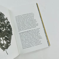 Wabi-Sabi - Further Thoughts