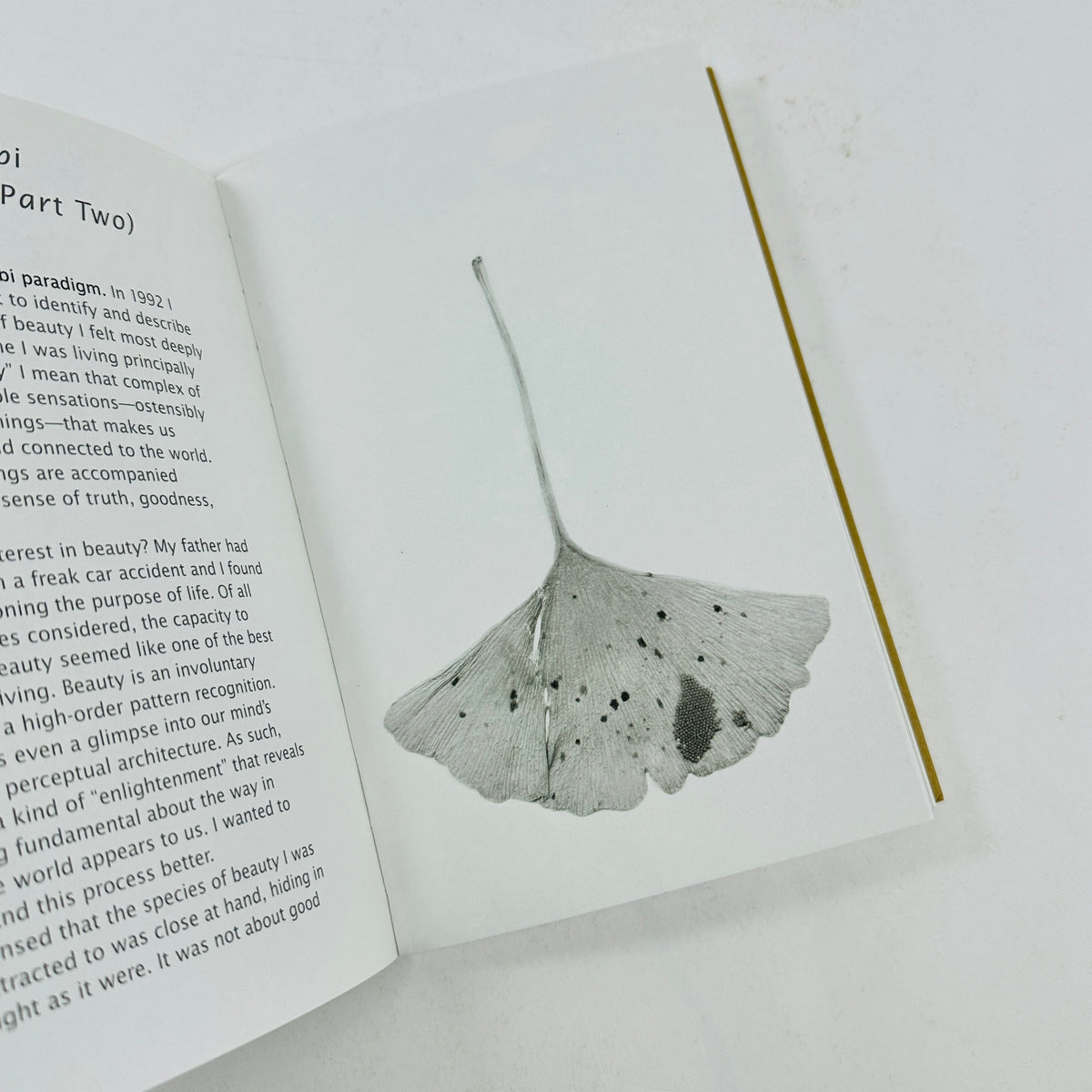 Wabi-Sabi - Further Thoughts