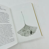Wabi-Sabi - Further Thoughts