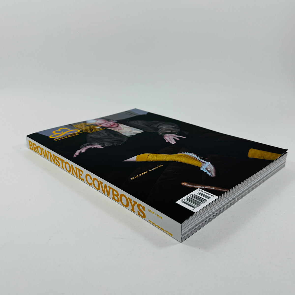 Brownstone Cowboys #1