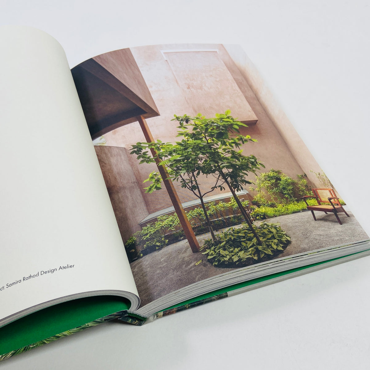 Brutalist Plants