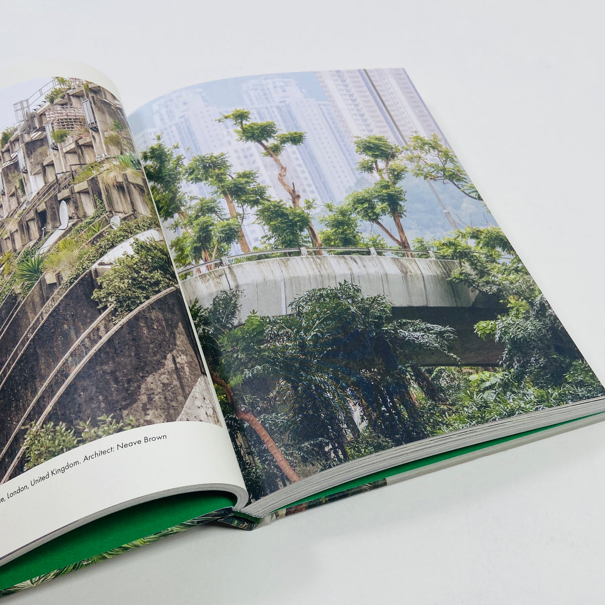 Brutalist Plants