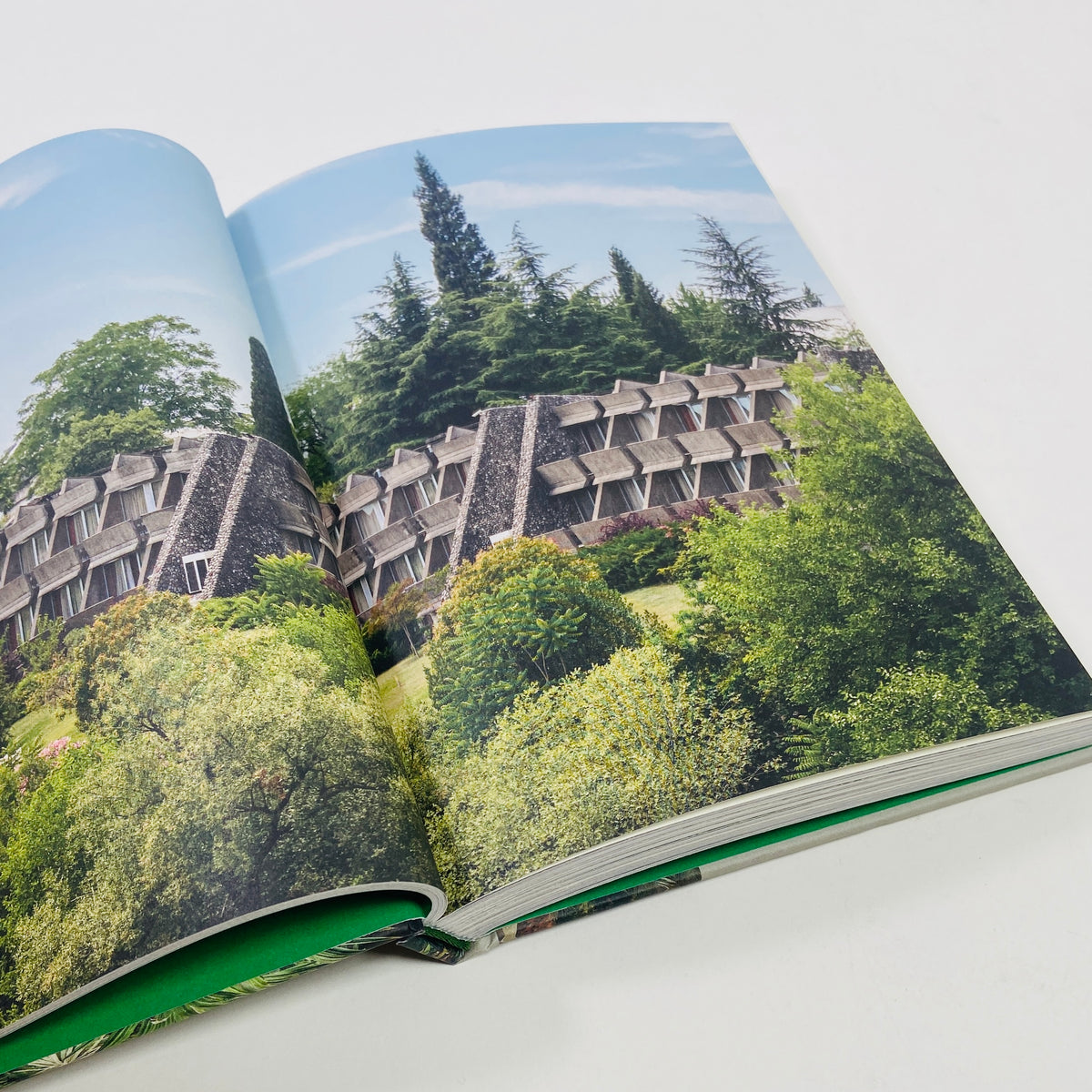 Brutalist Plants