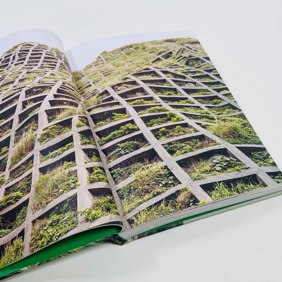 Brutalist Plants