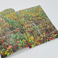 F Magazine #4 - Tomato