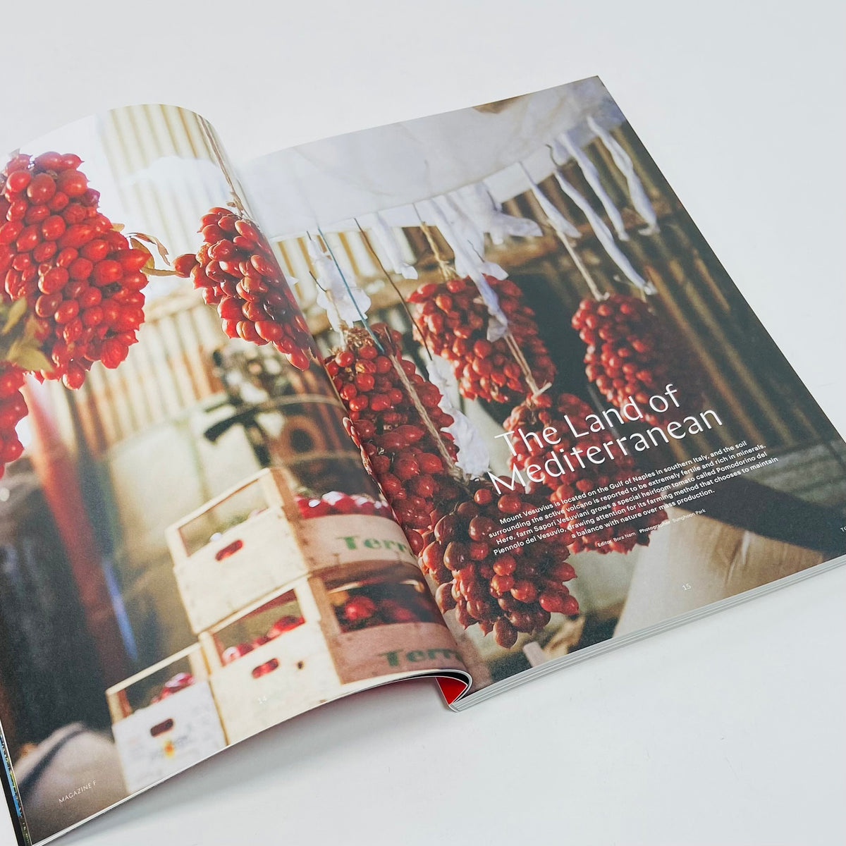 F Magazine #4 - Tomato