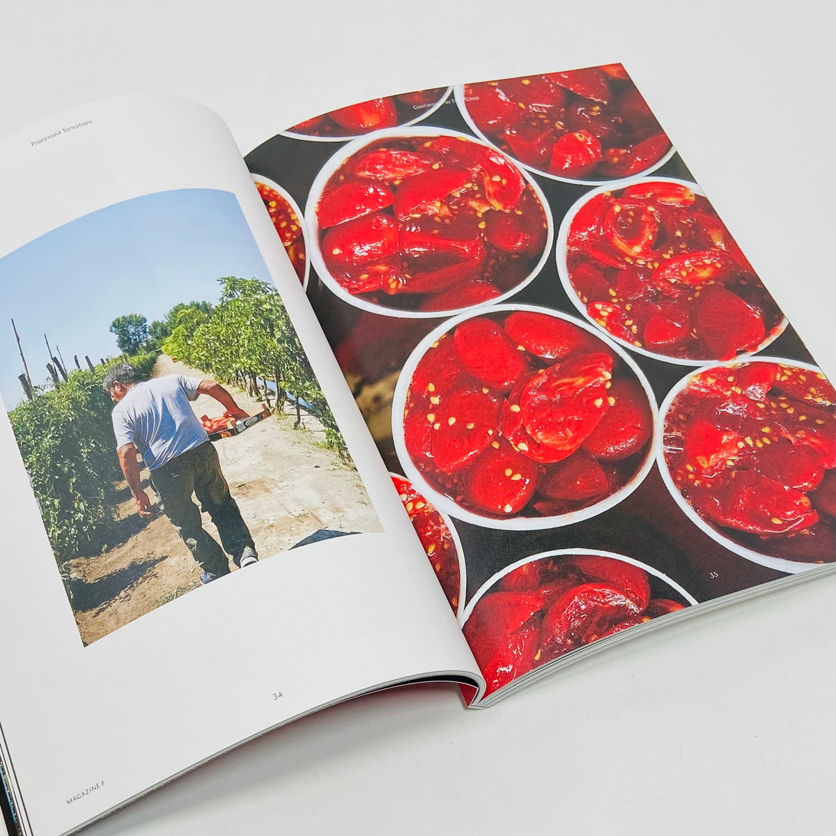F Magazine #4 - Tomato
