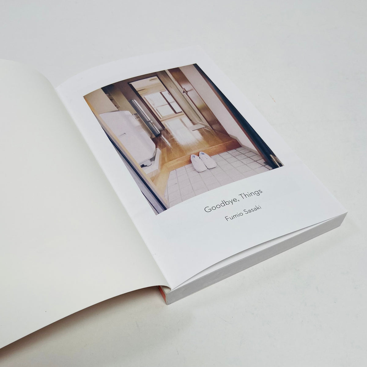 Goodbye, Things - On Minimalist Living -  Fumio Sasaki
