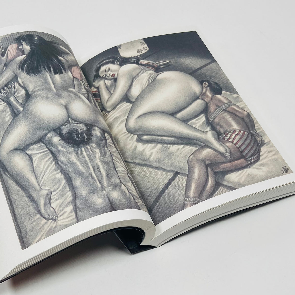Facesittings Are Forever - Art of Namio Harukawa